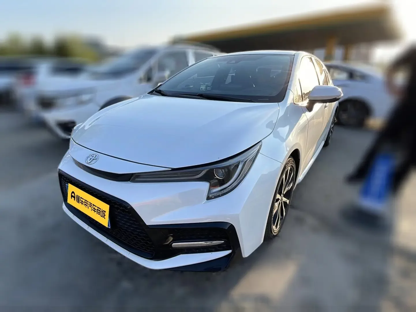 Toyota Levin