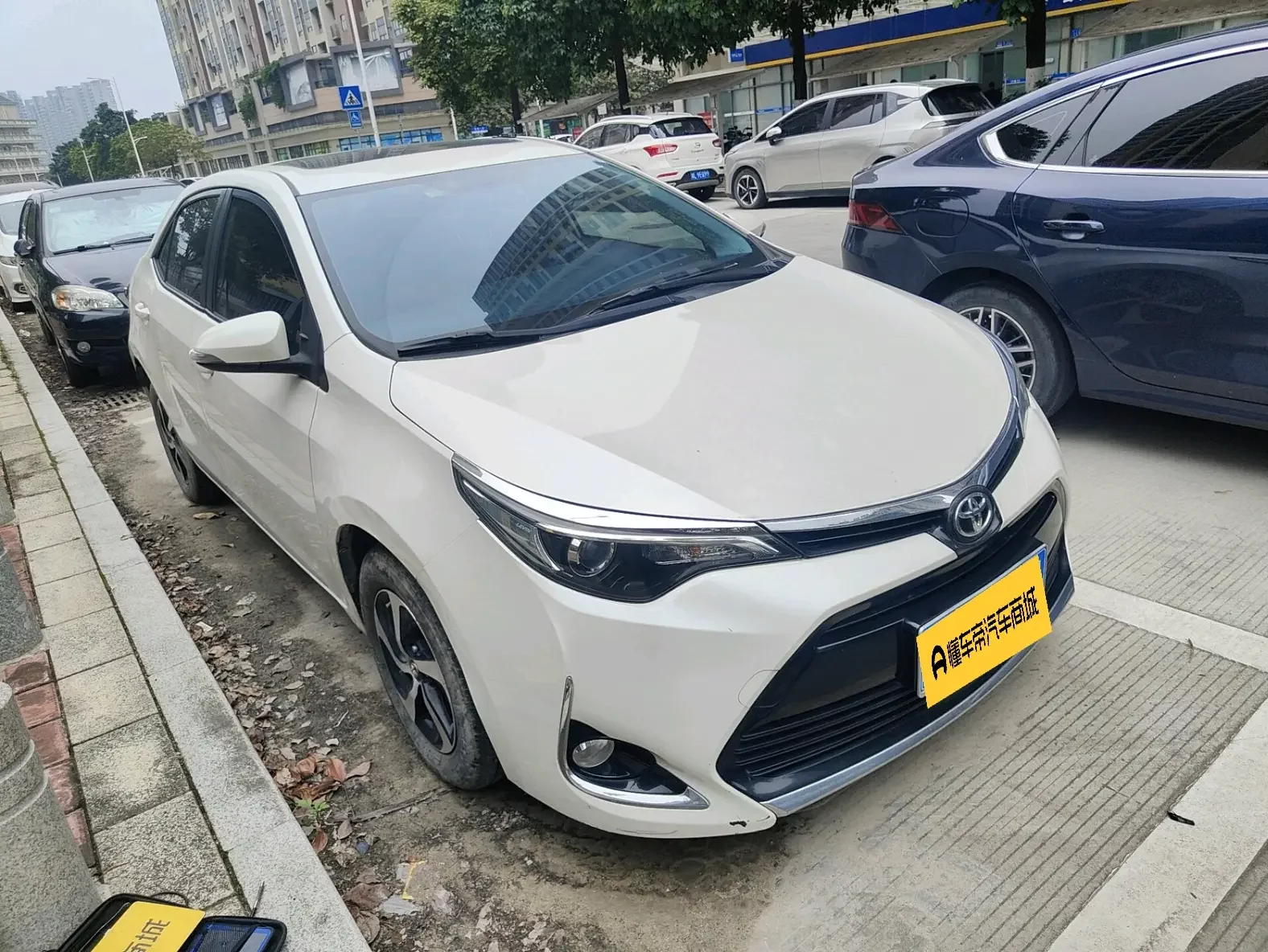 Toyota Levin