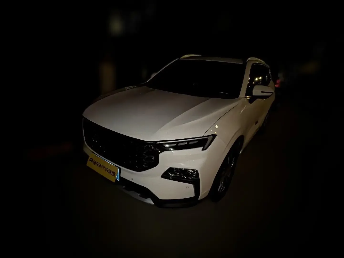 Ford Equator Sport