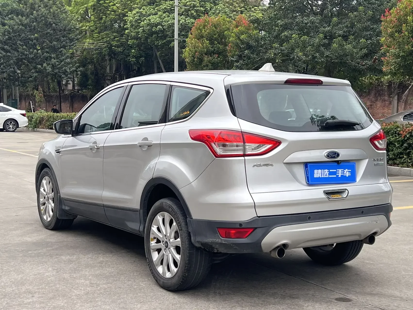 Ford wing tiger