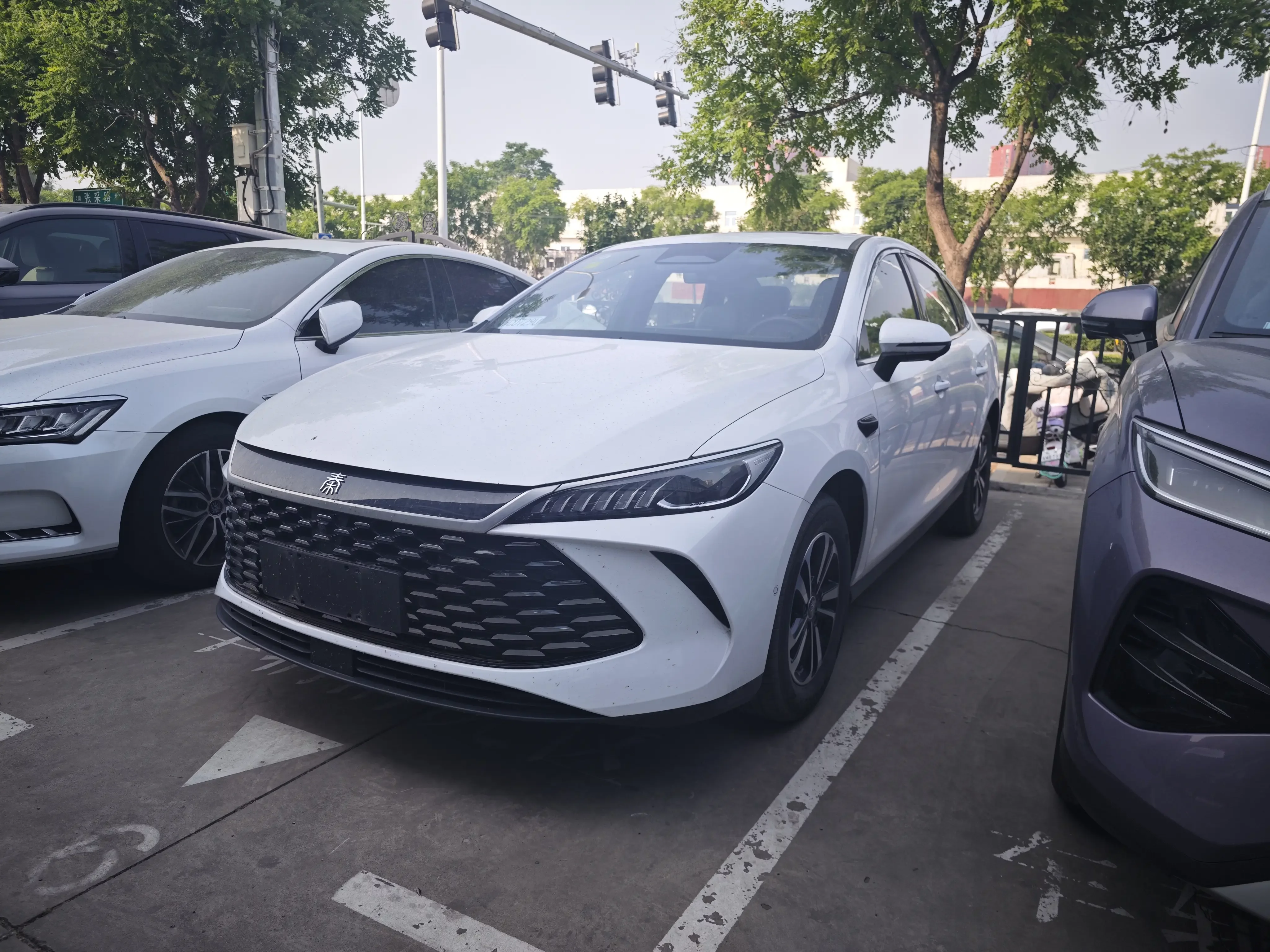 BYD Qin PLUS DM