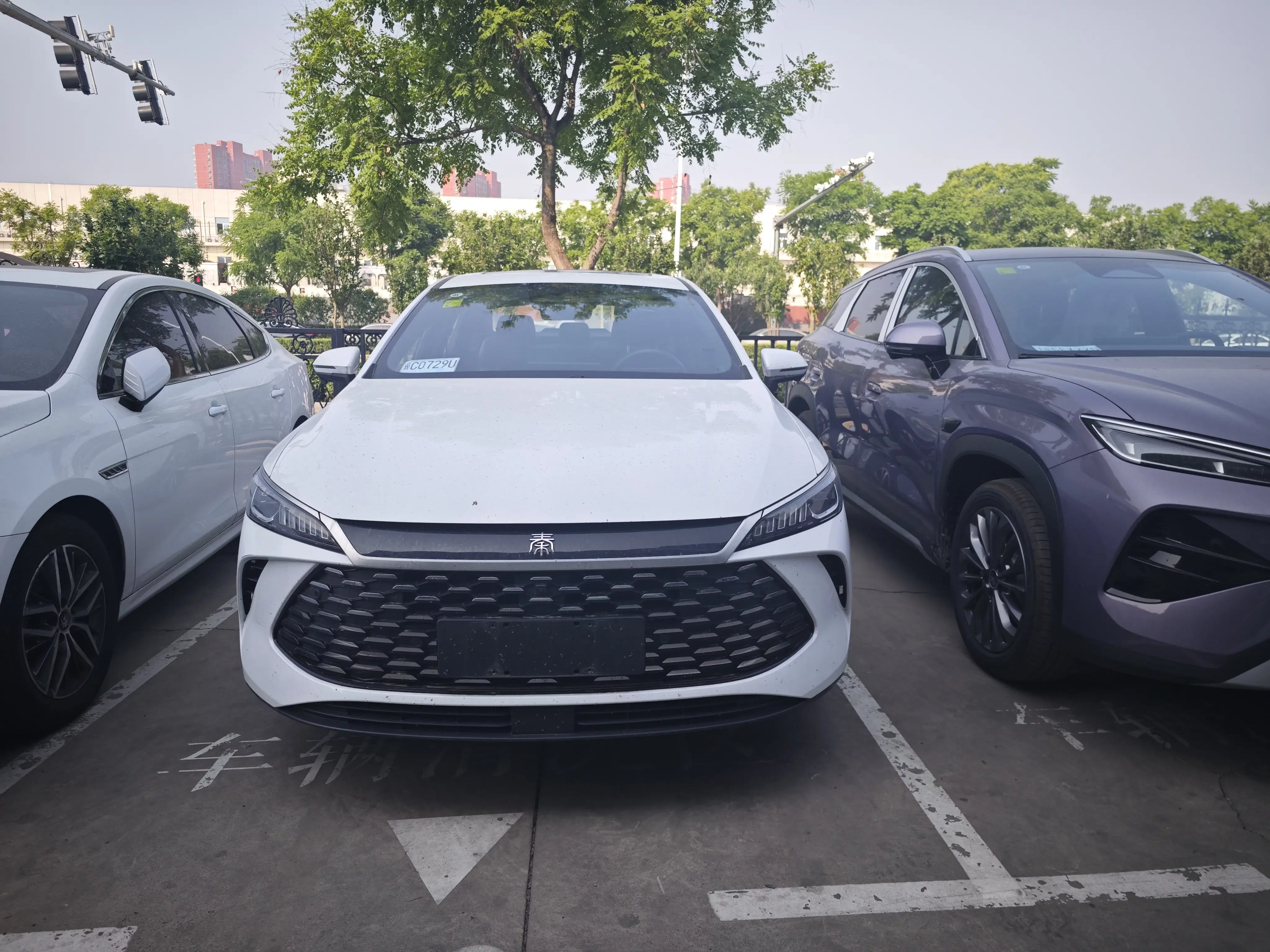 BYD Qin PLUS DM