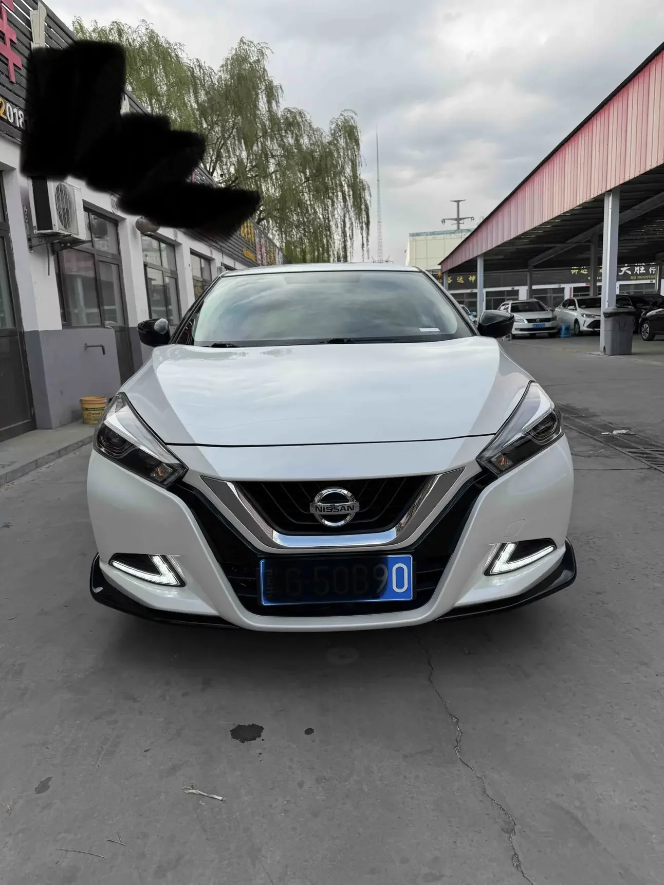 Nissan bluebird
