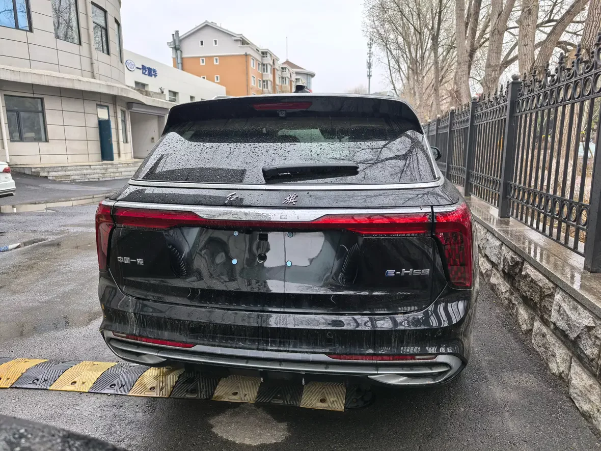 Hongqi E-HS9