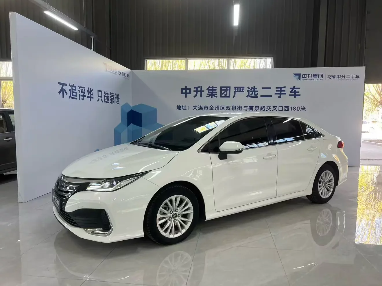Toyota Asiatic lion