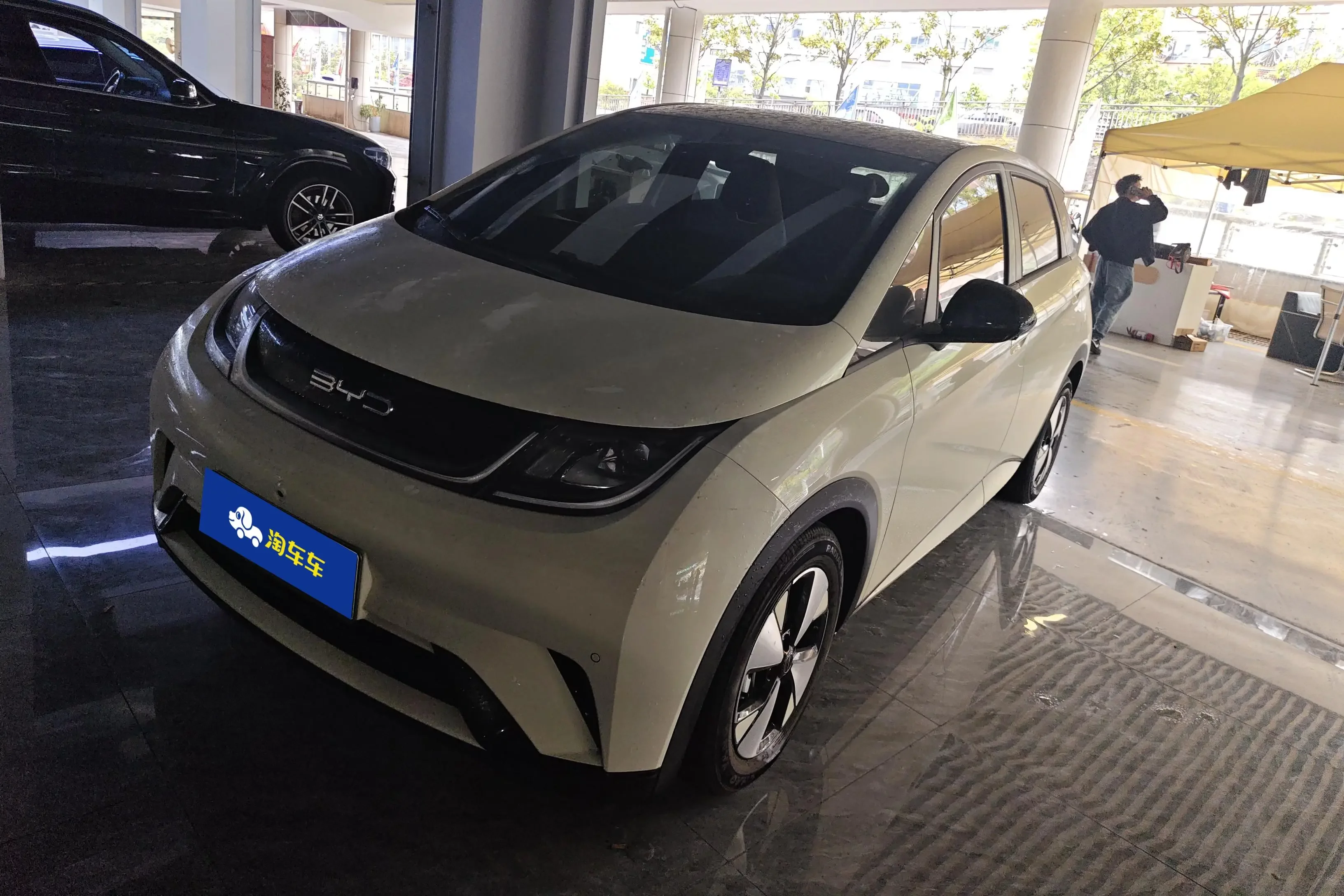 BYD dolphin