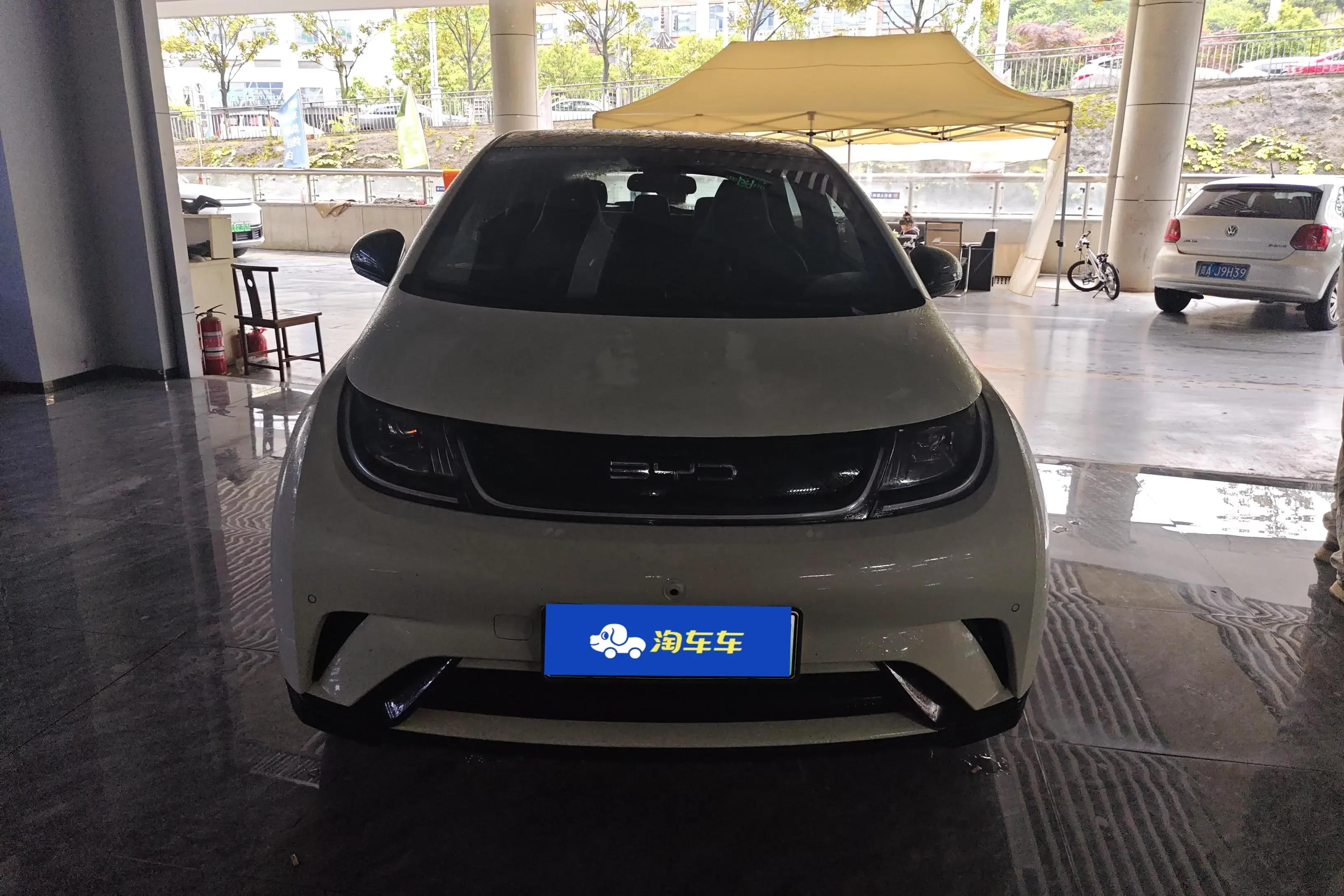 BYD dolphin
