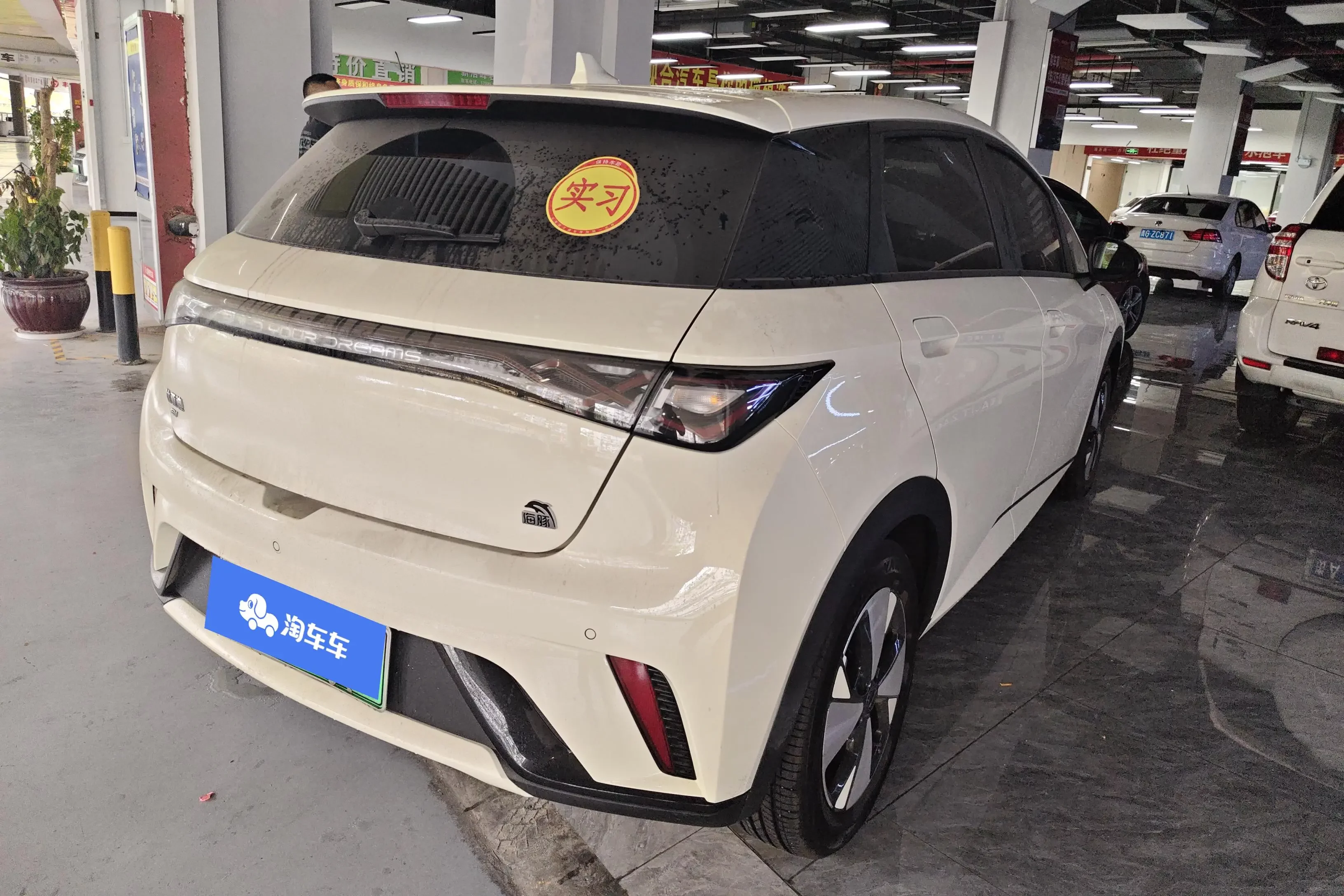 BYD dolphin