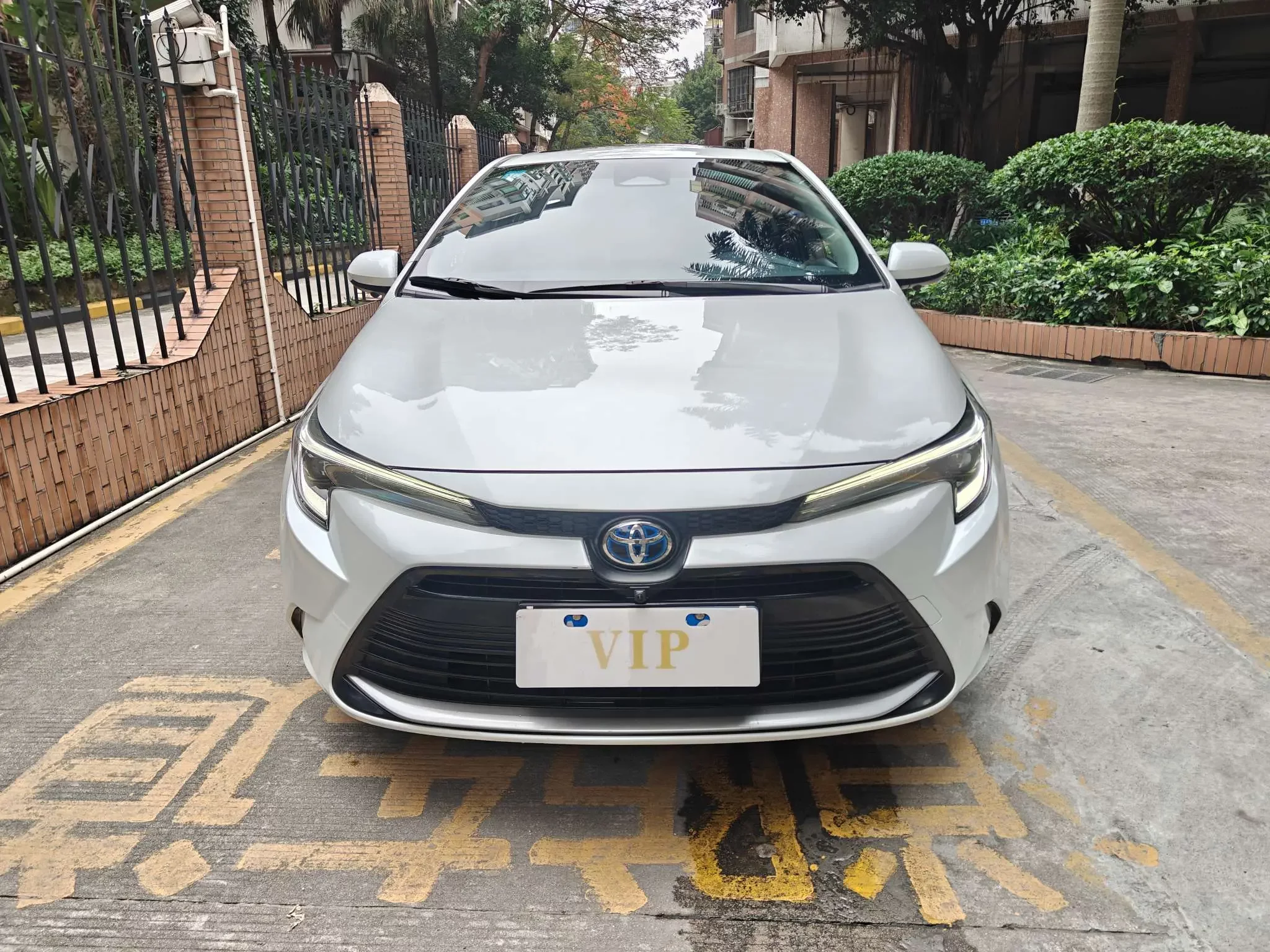 Toyota Levin