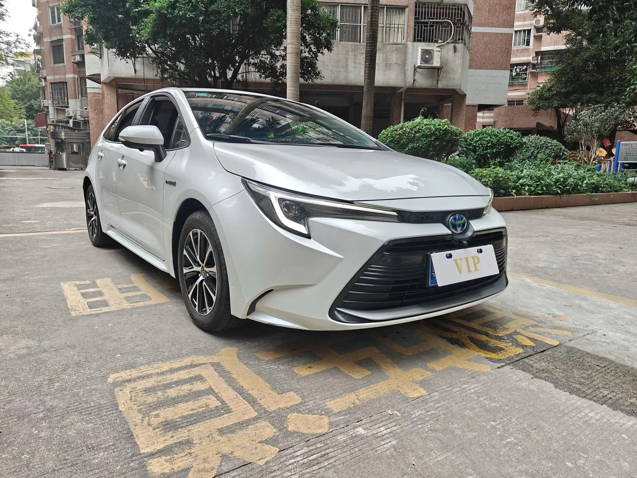 Toyota Levin
