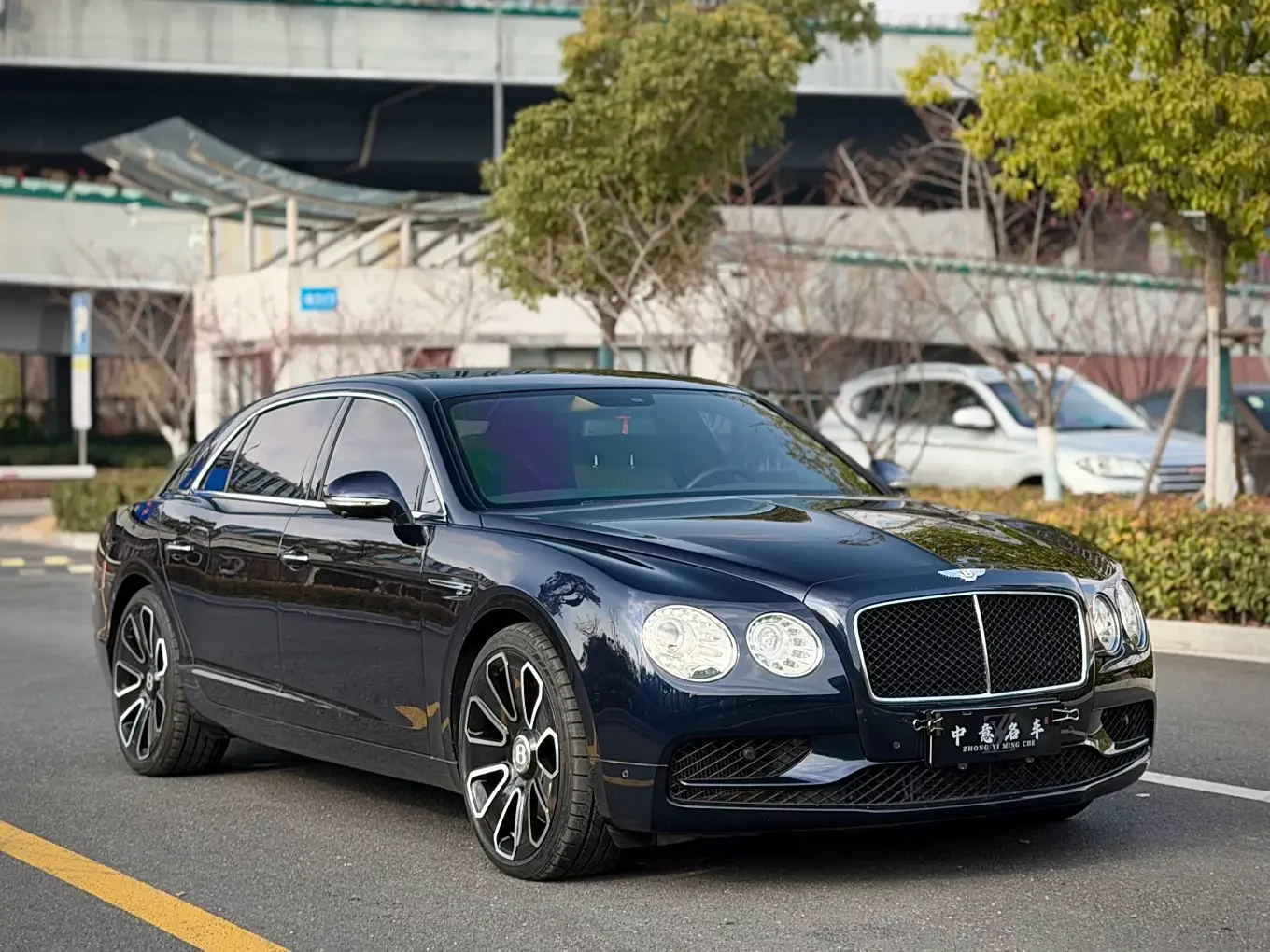Bentley galloping