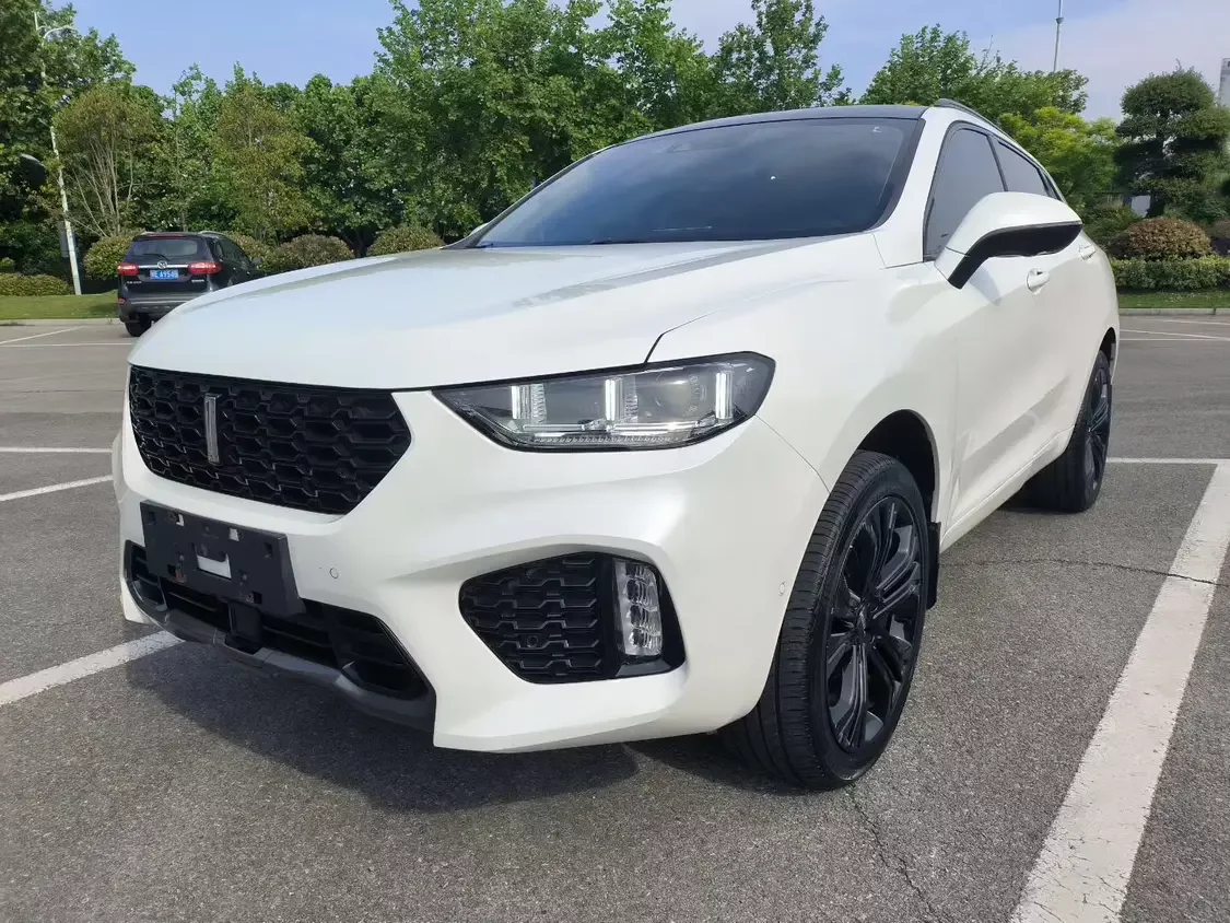 Wey Wei brand VV5