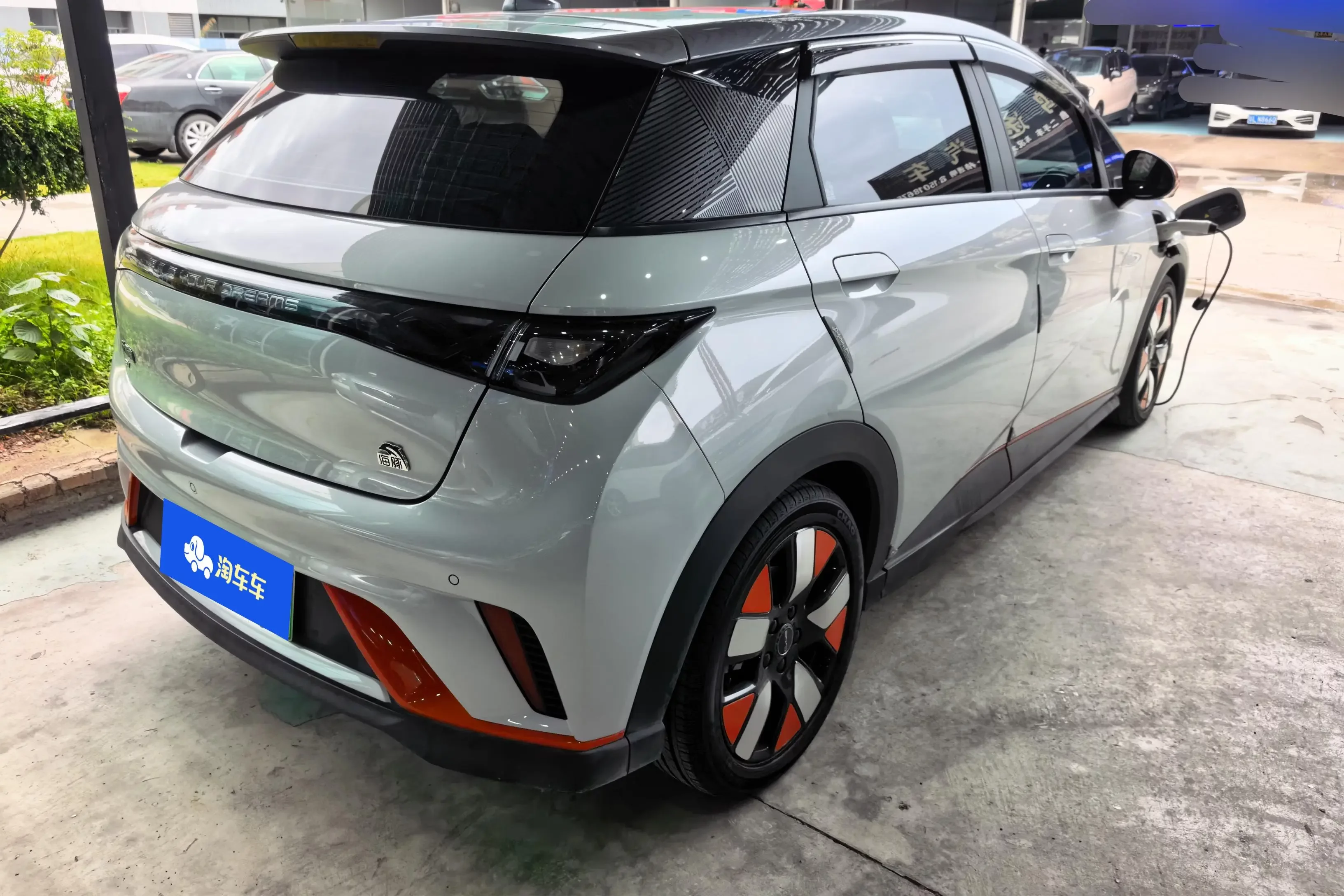 BYD dolphin