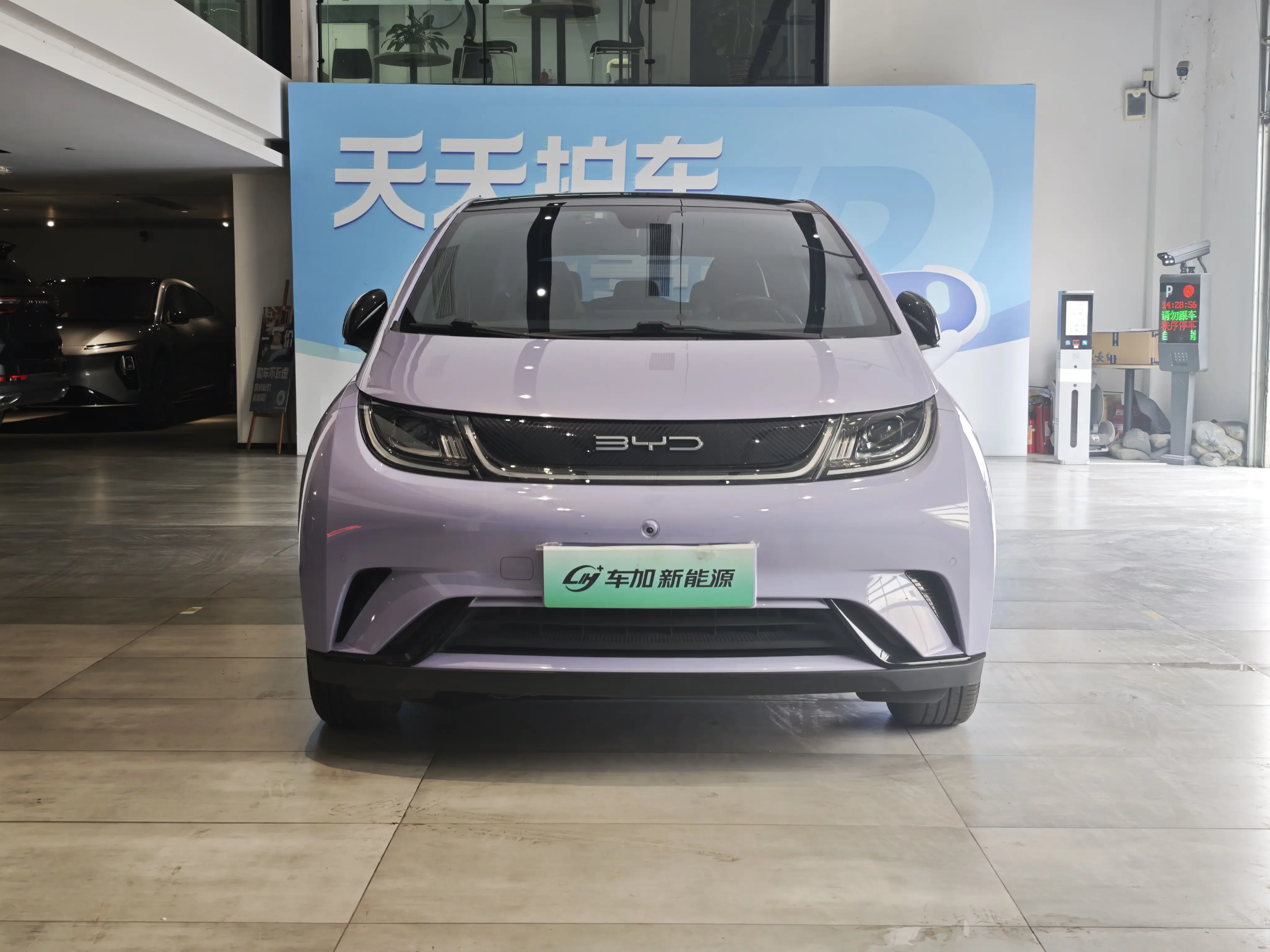 BYD dolphin