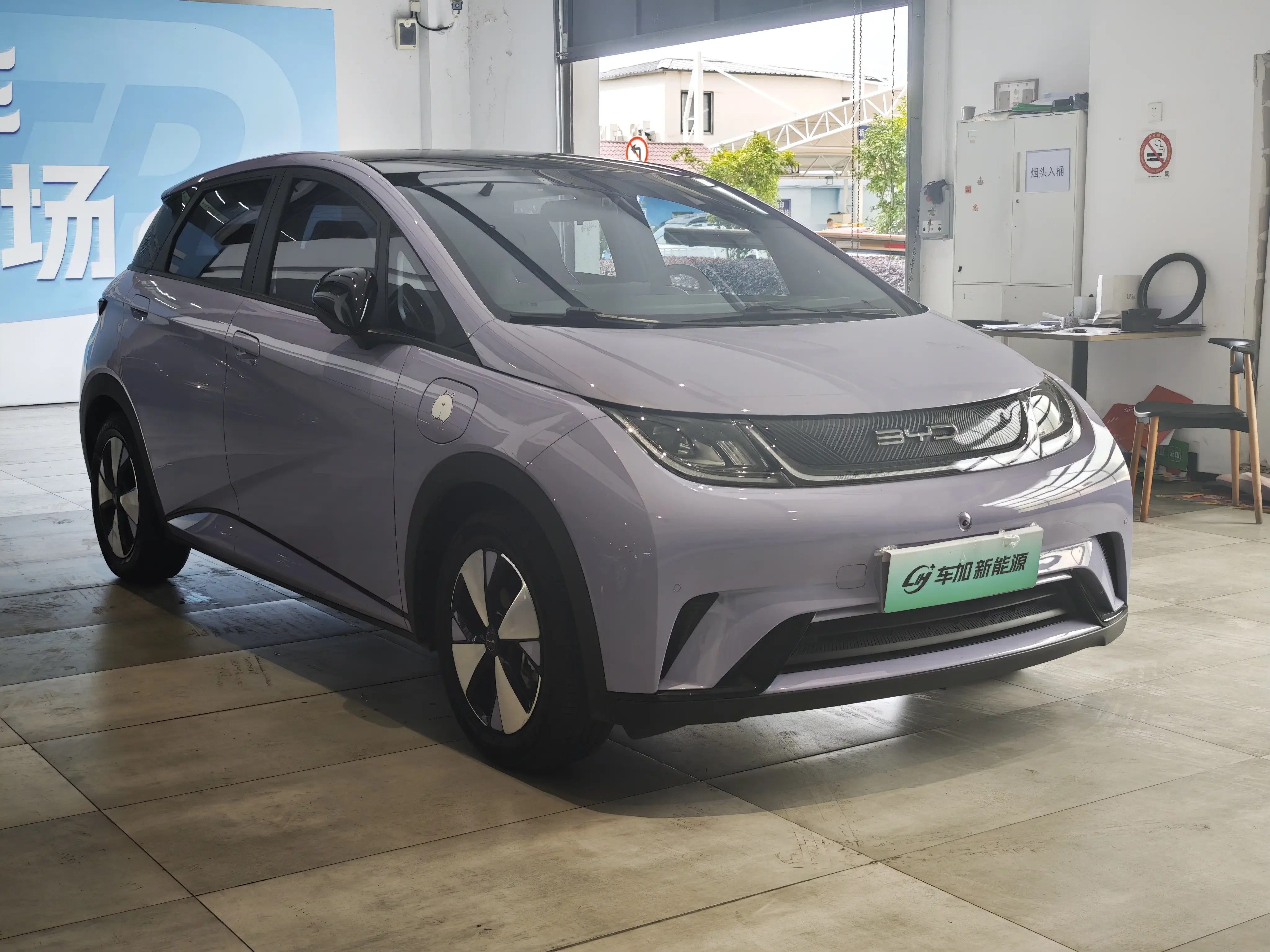 BYD dolphin
