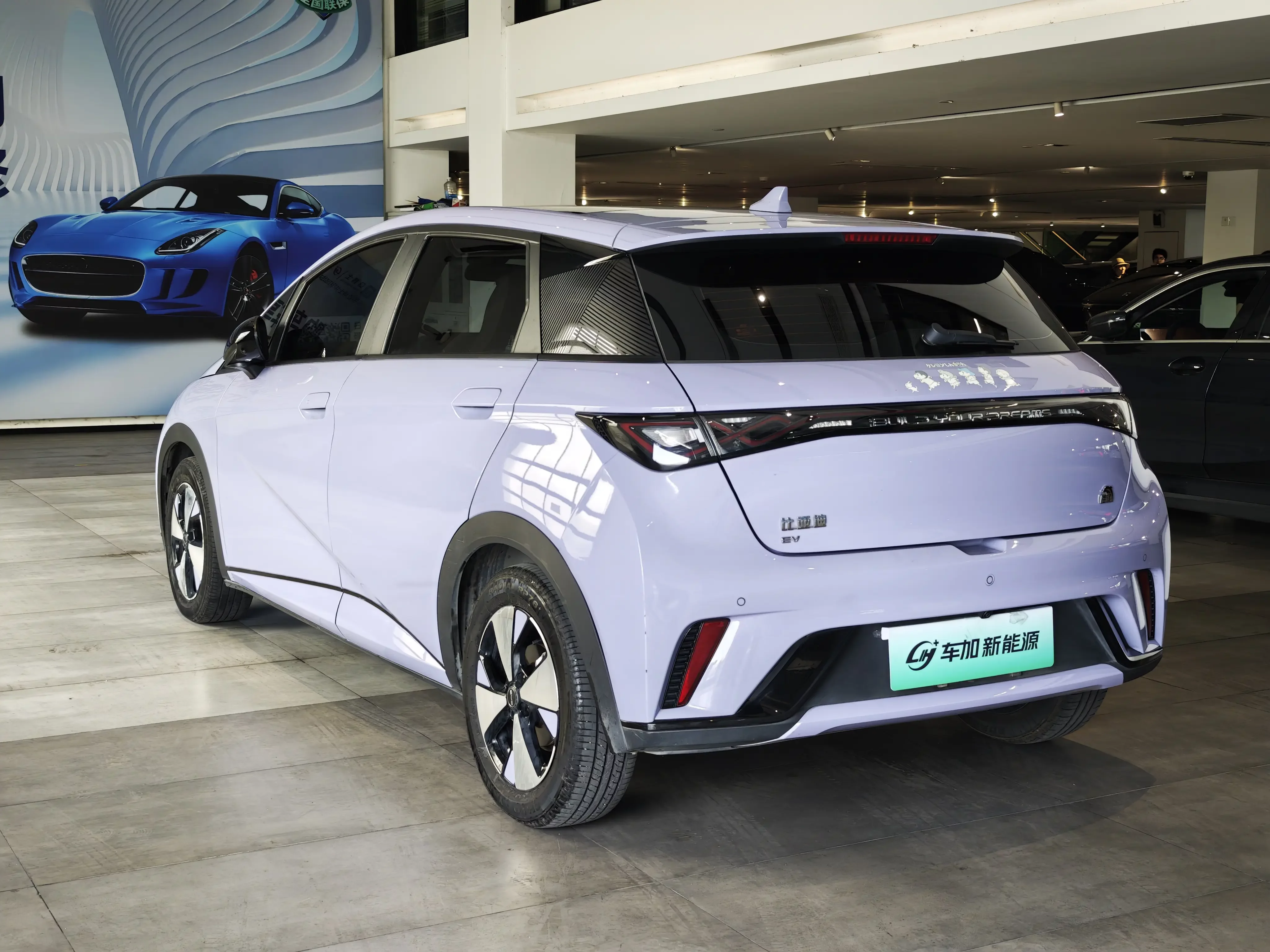 BYD dolphin