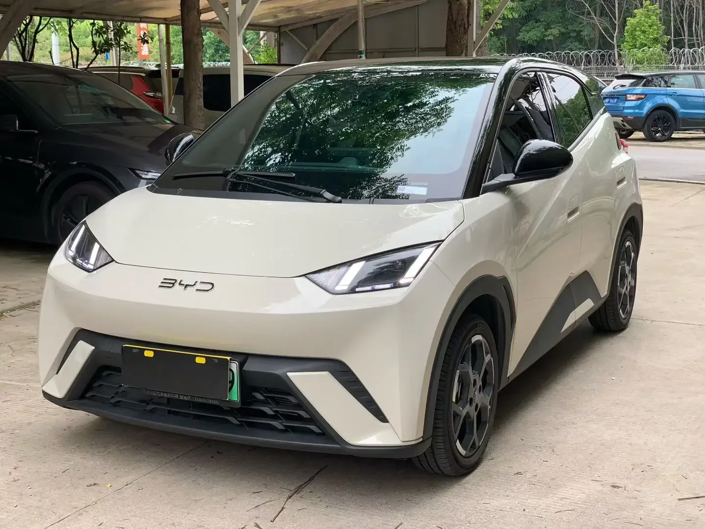 BYD seagull