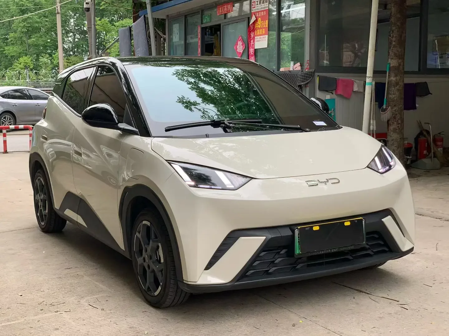 BYD seagull