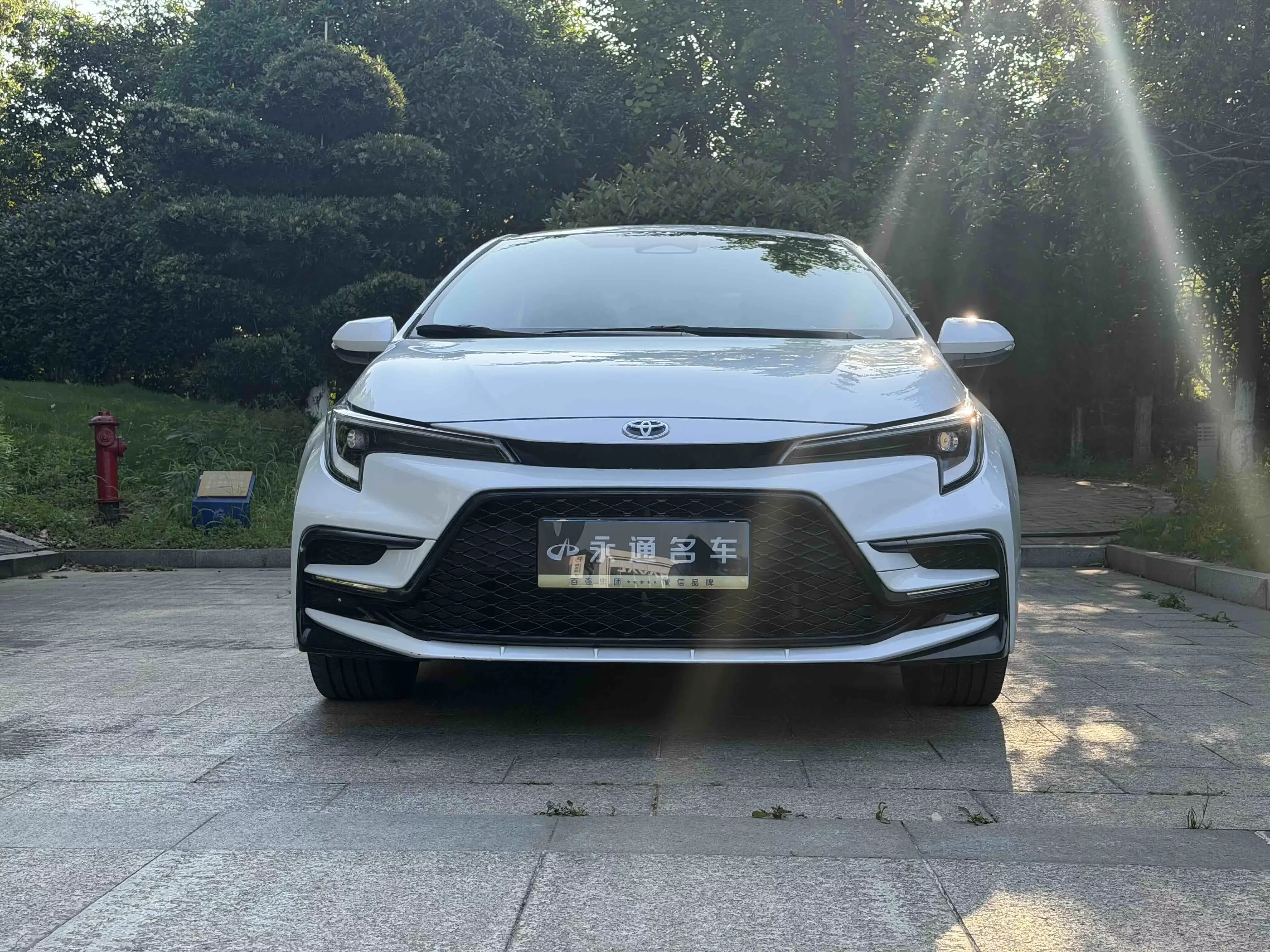Toyota Levin