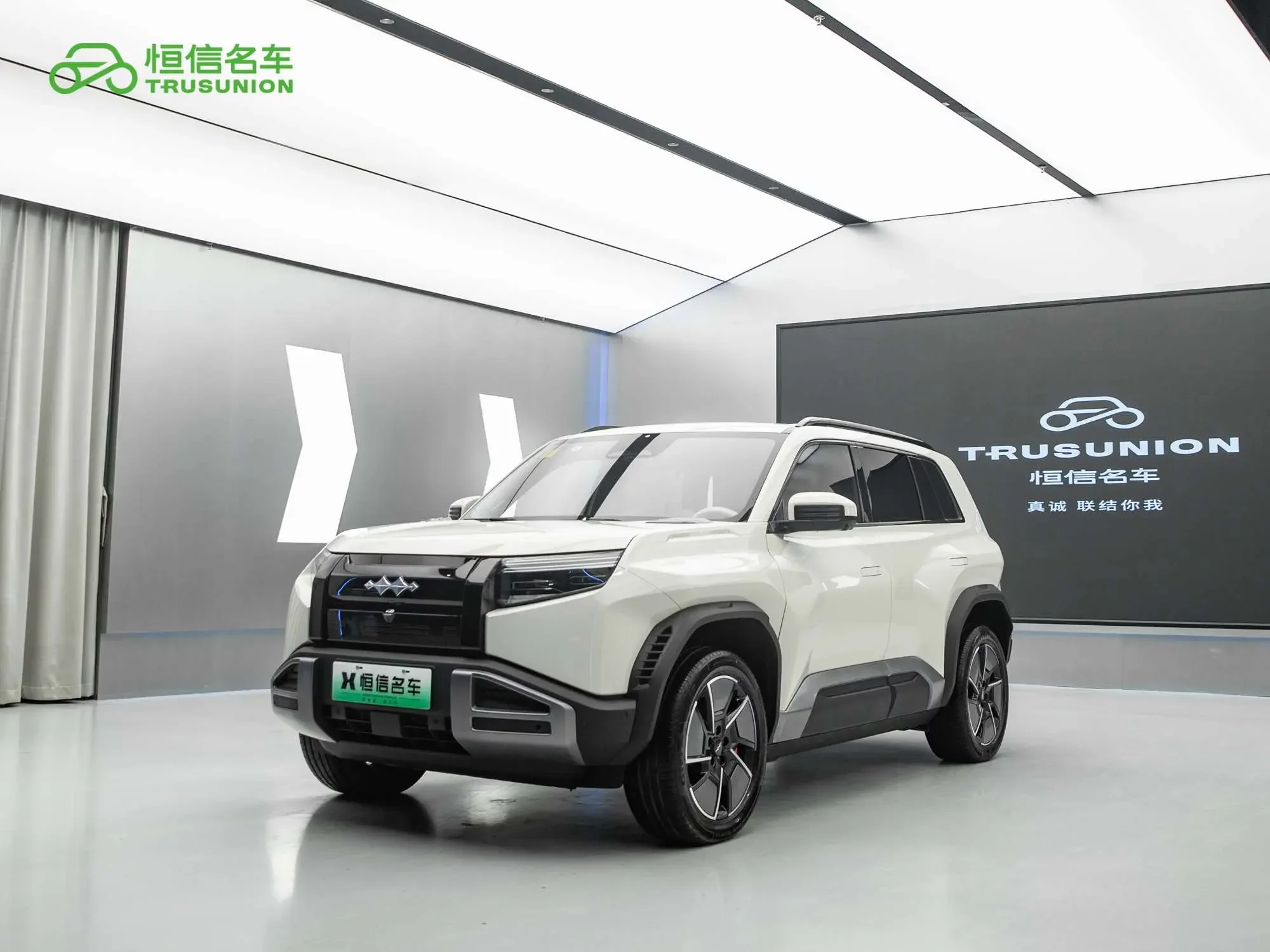 BYD Leopard Titanium 3