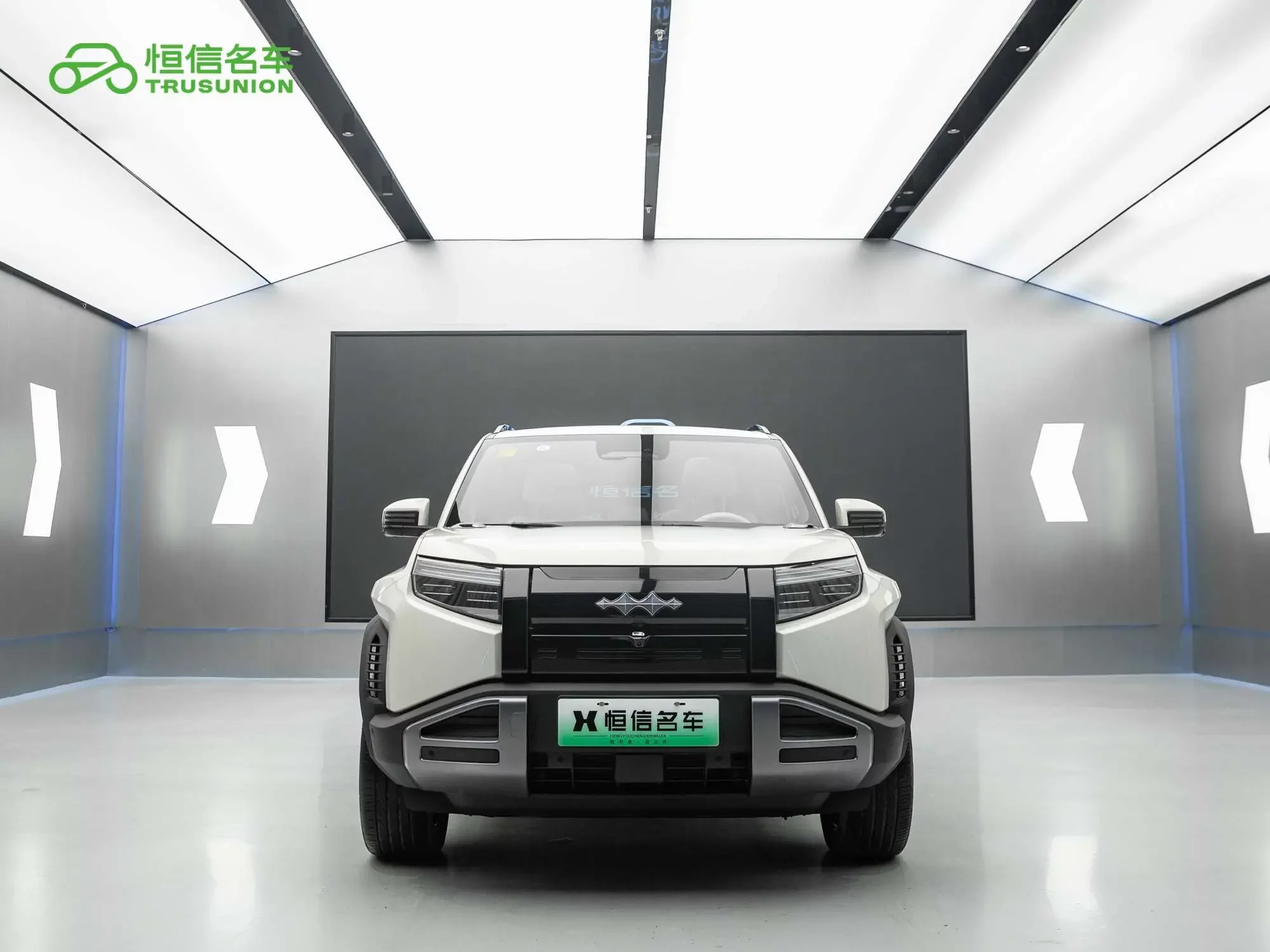 BYD Leopard Titanium 3