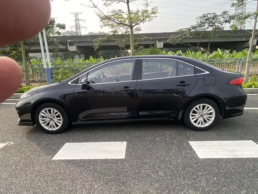 Toyota Asiatic lion