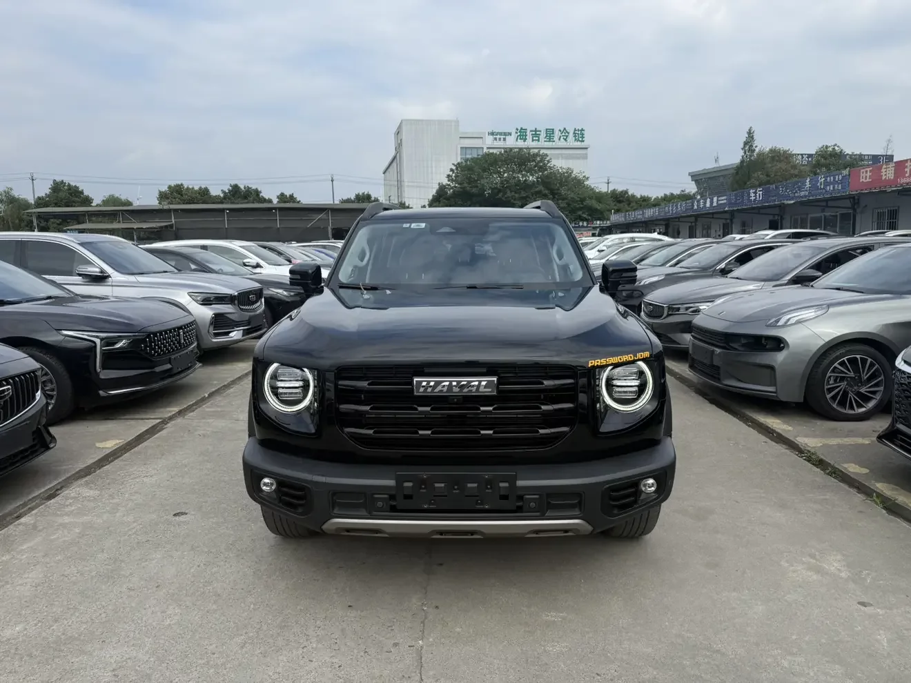 Haval Dargo