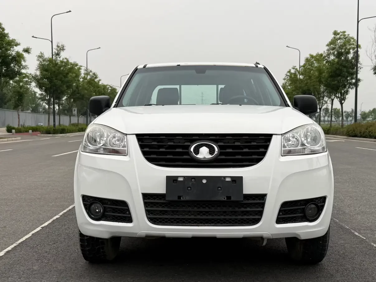 Great Wall Wing Jun 5