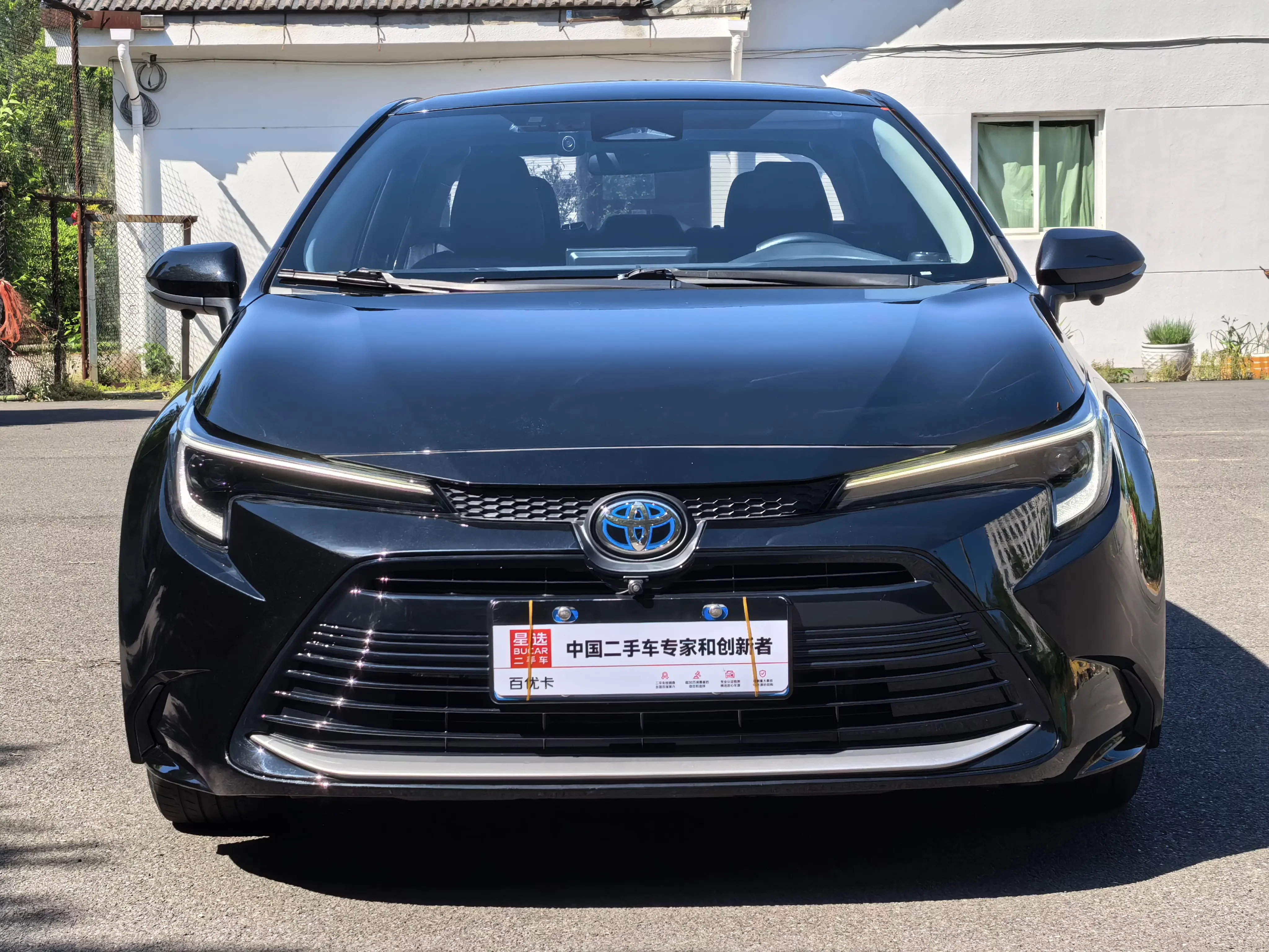 Toyota Levin