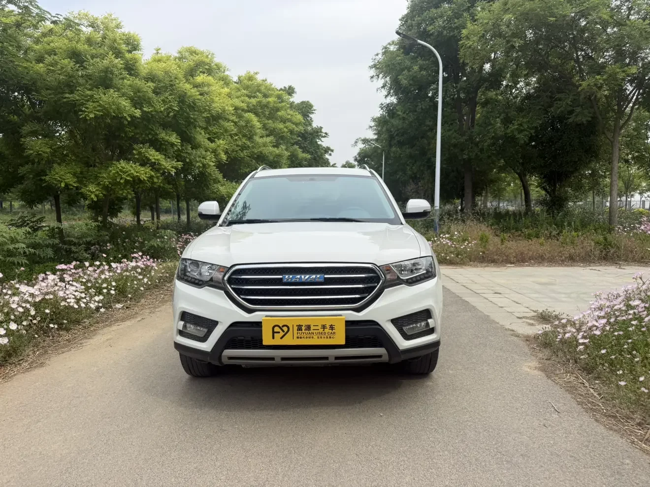 Haval H6 Coupe