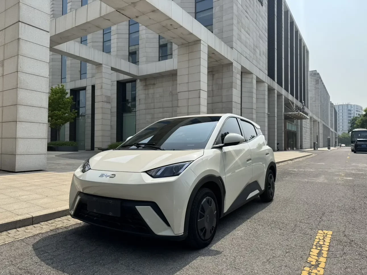 BYD seagull