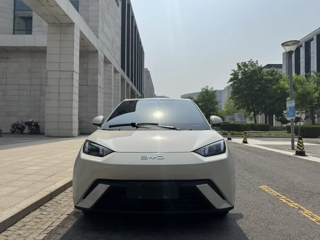 BYD seagull