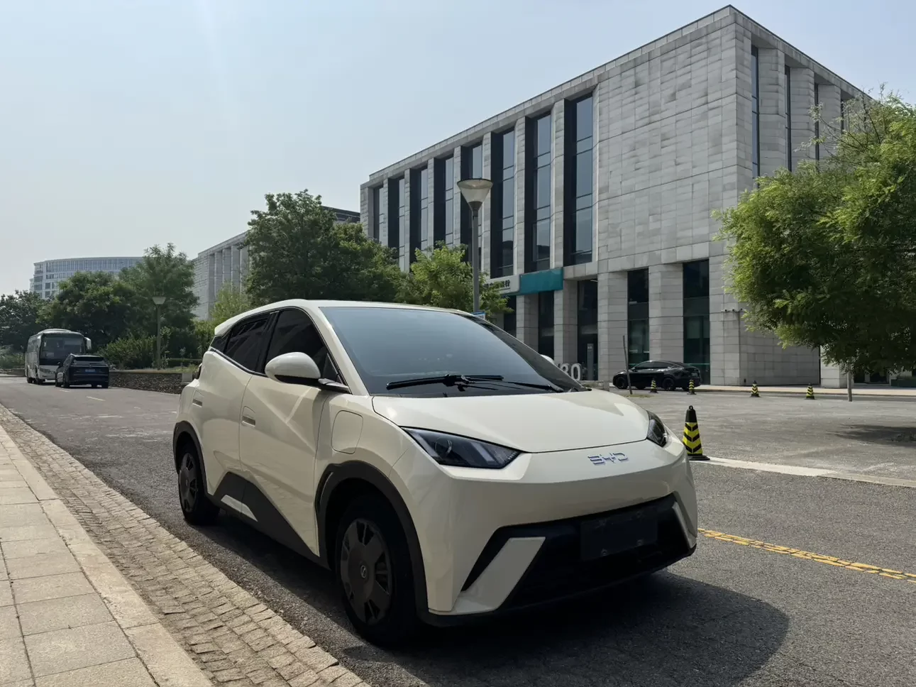 BYD seagull