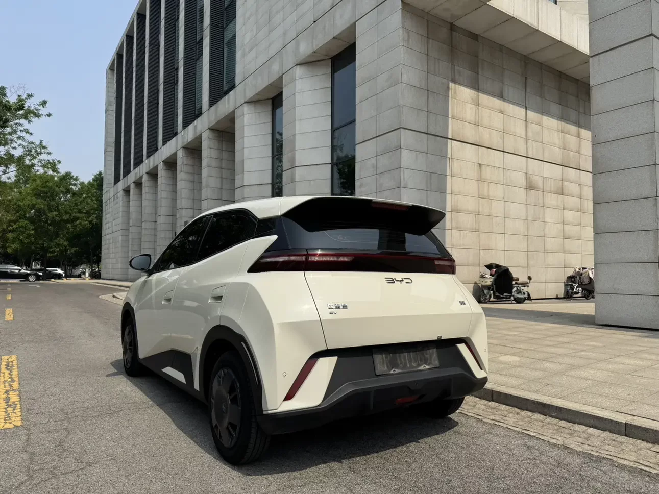 BYD seagull