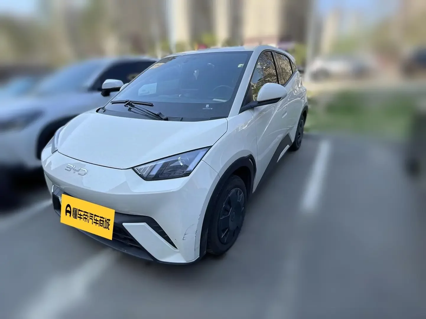 BYD seagull