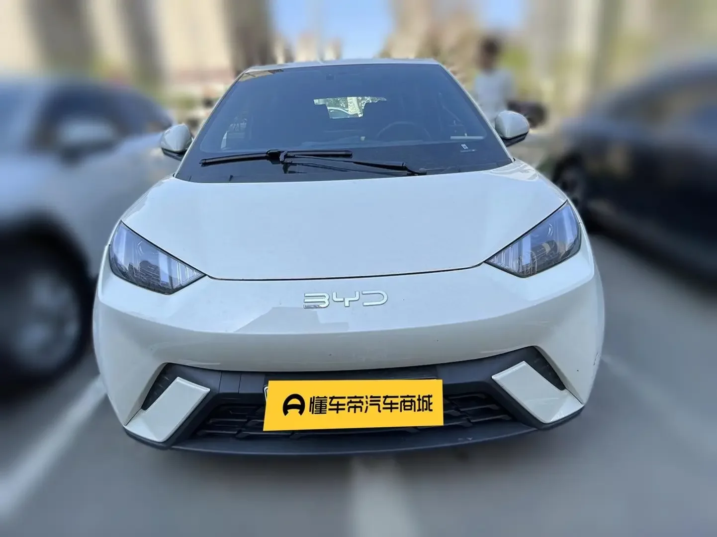 BYD seagull