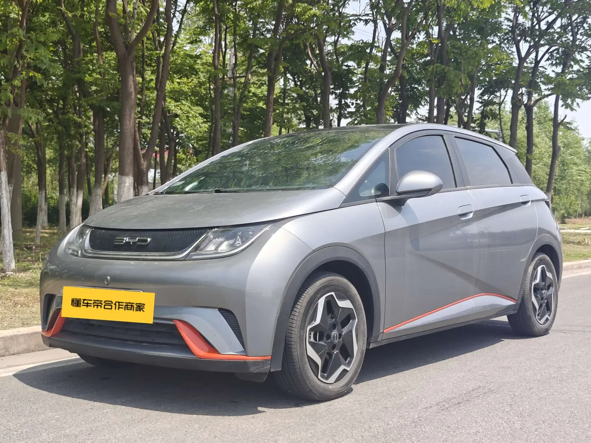BYD dolphin