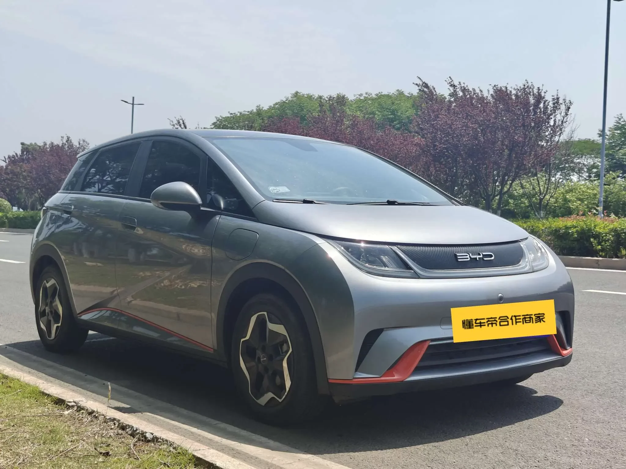 BYD dolphin
