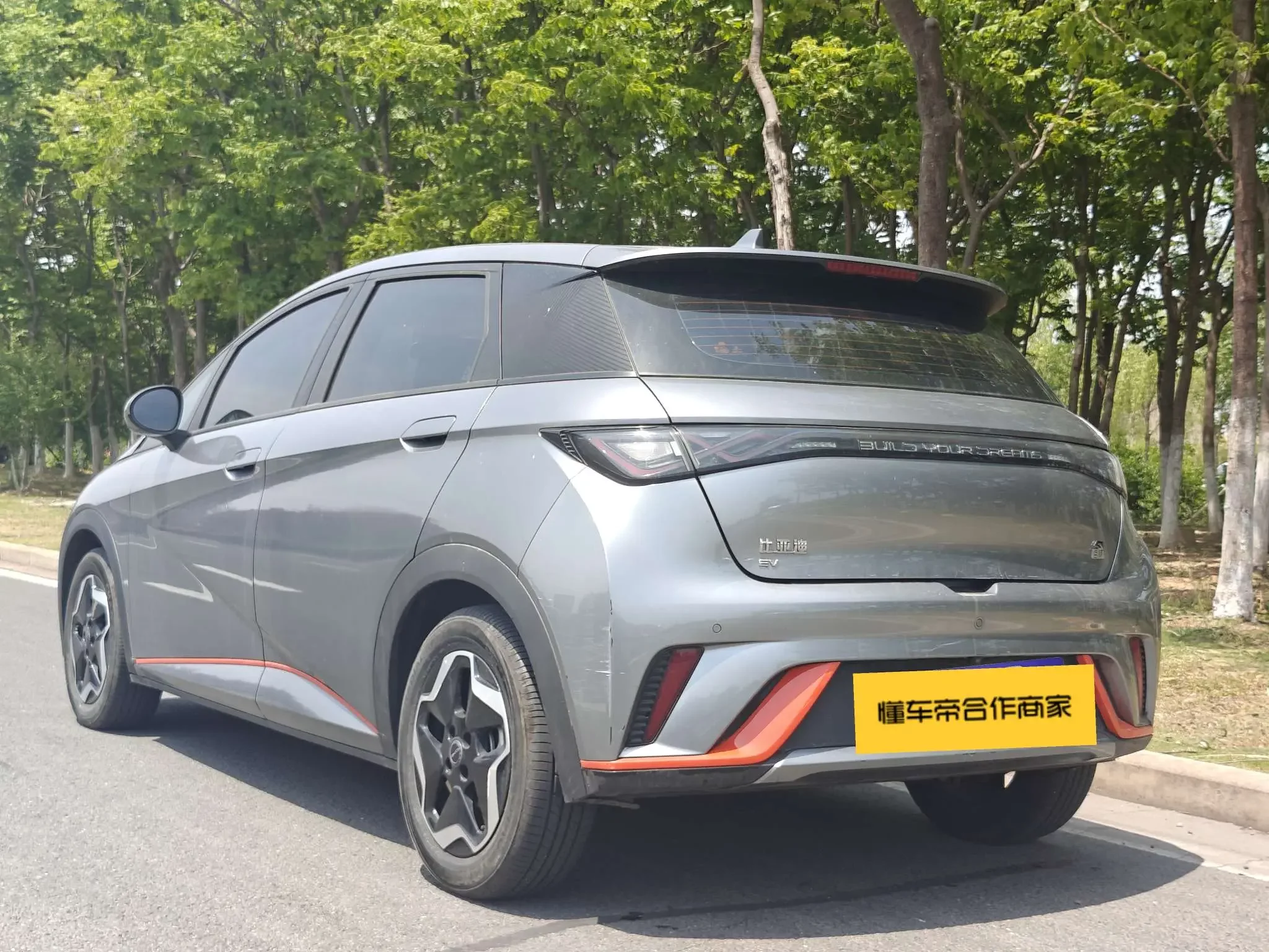 BYD dolphin