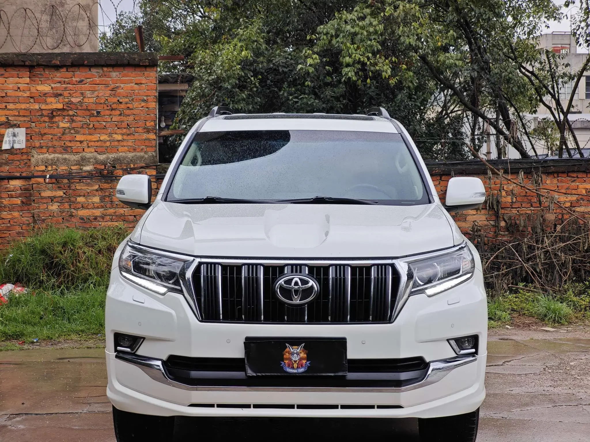 Toyota prado