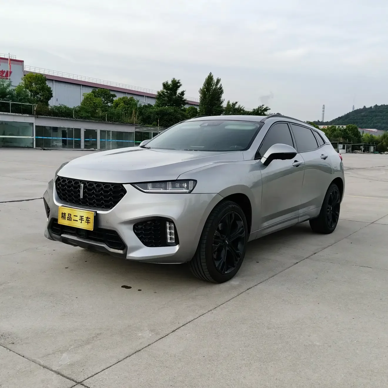 Wey Wei brand VV7
