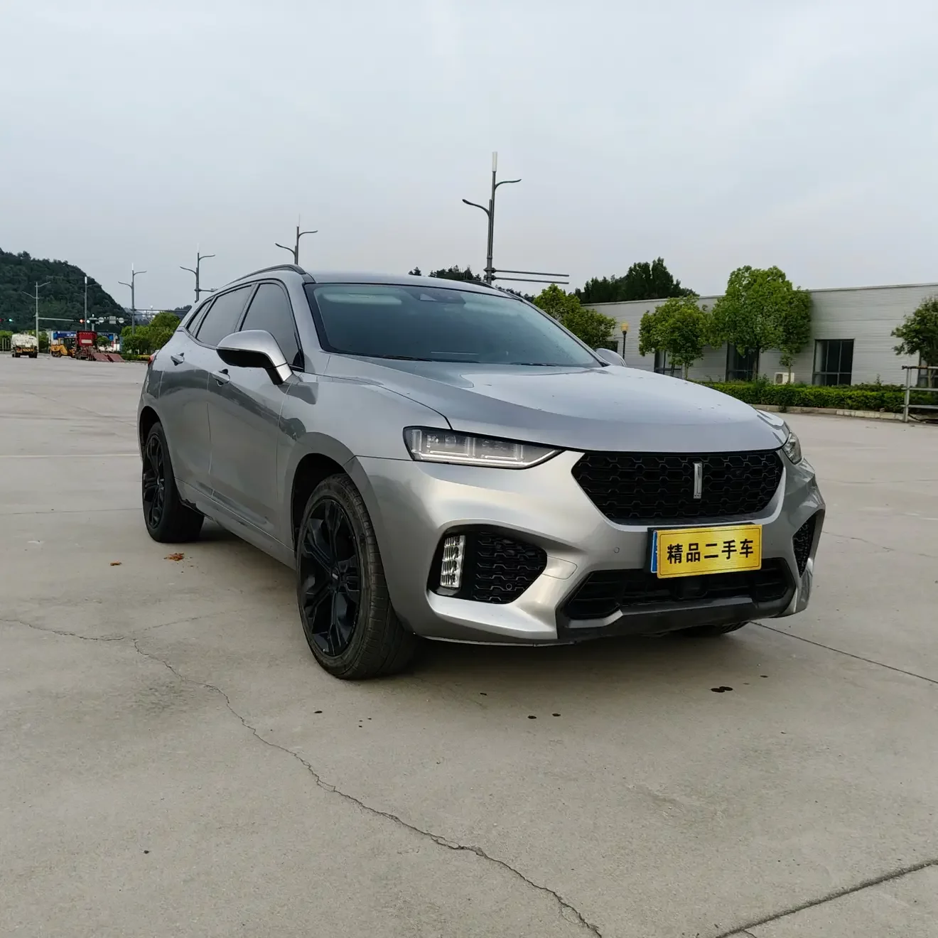 Wey Wei brand VV7