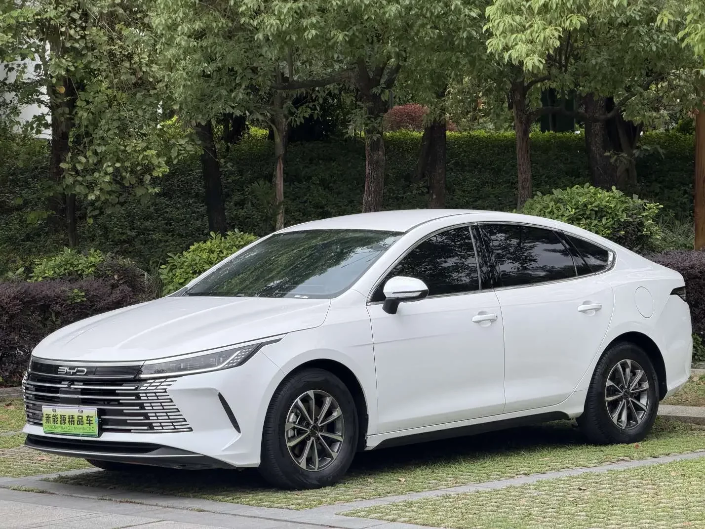 BYD Destroyer 05