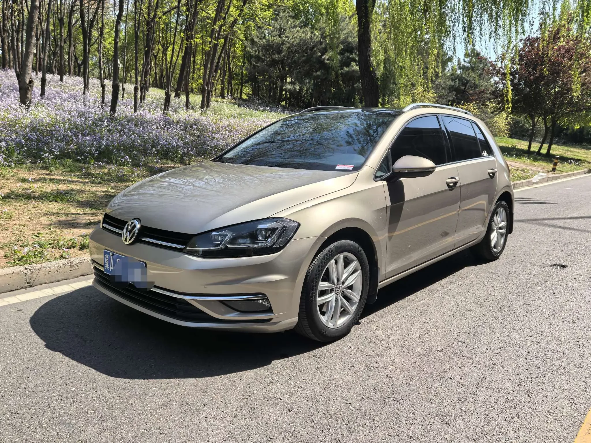 Volkswagen golf
