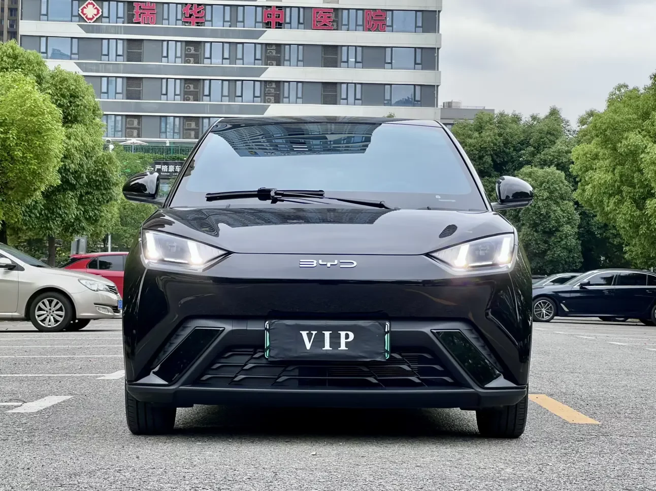 BYD seagull