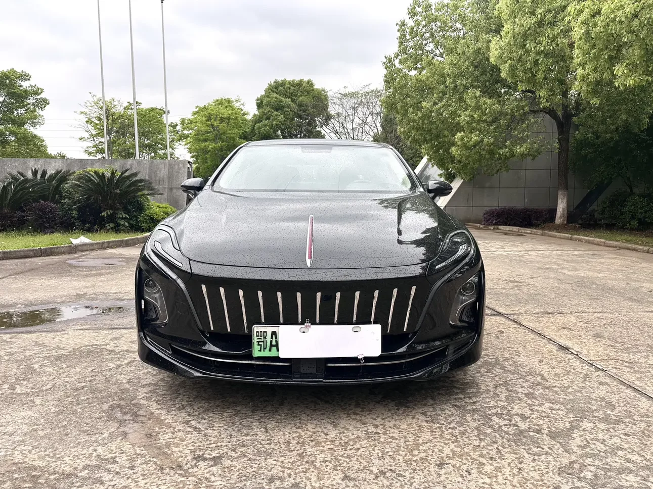 Hongqi E-QM5