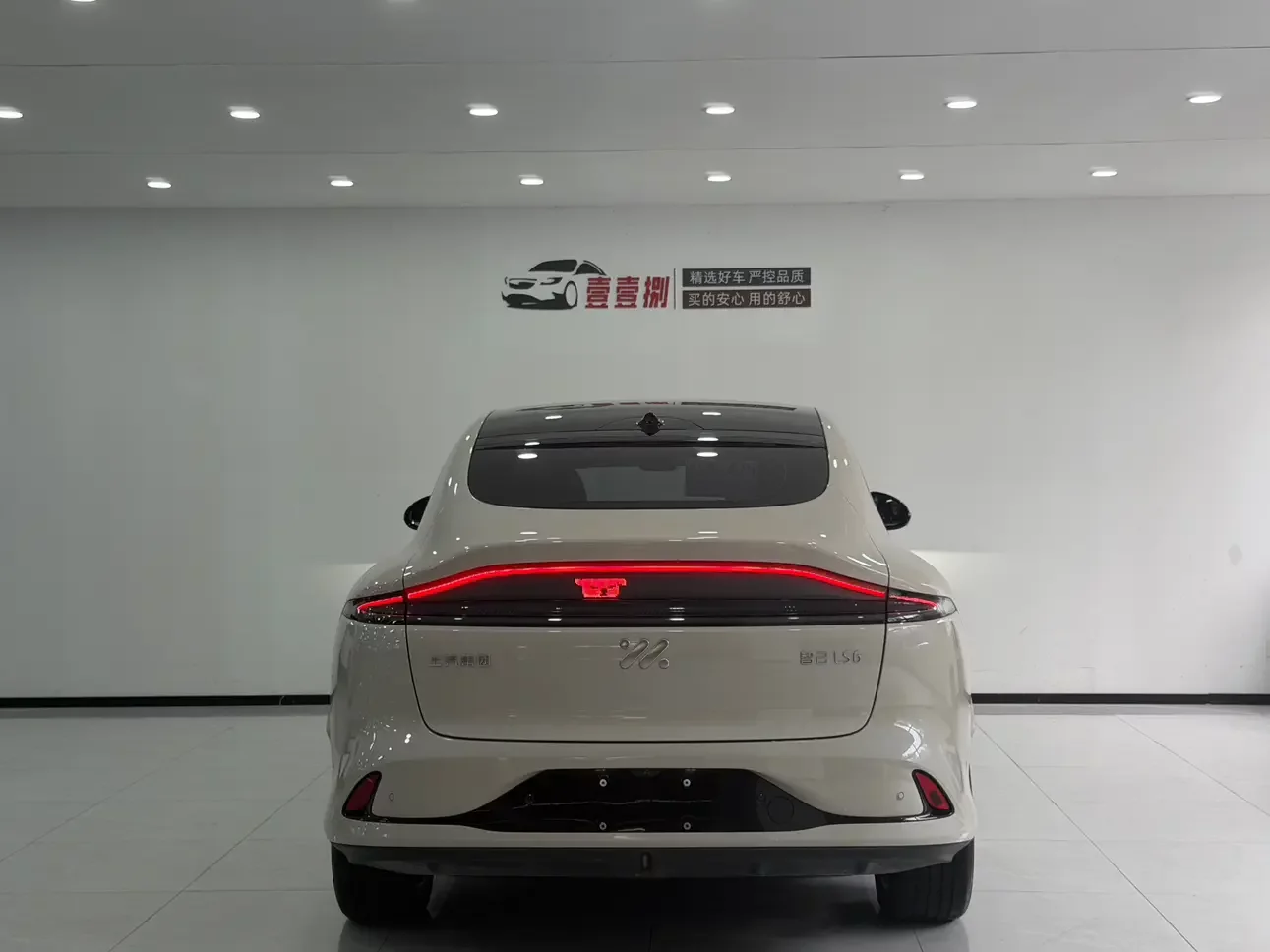 Zhiji LS6
