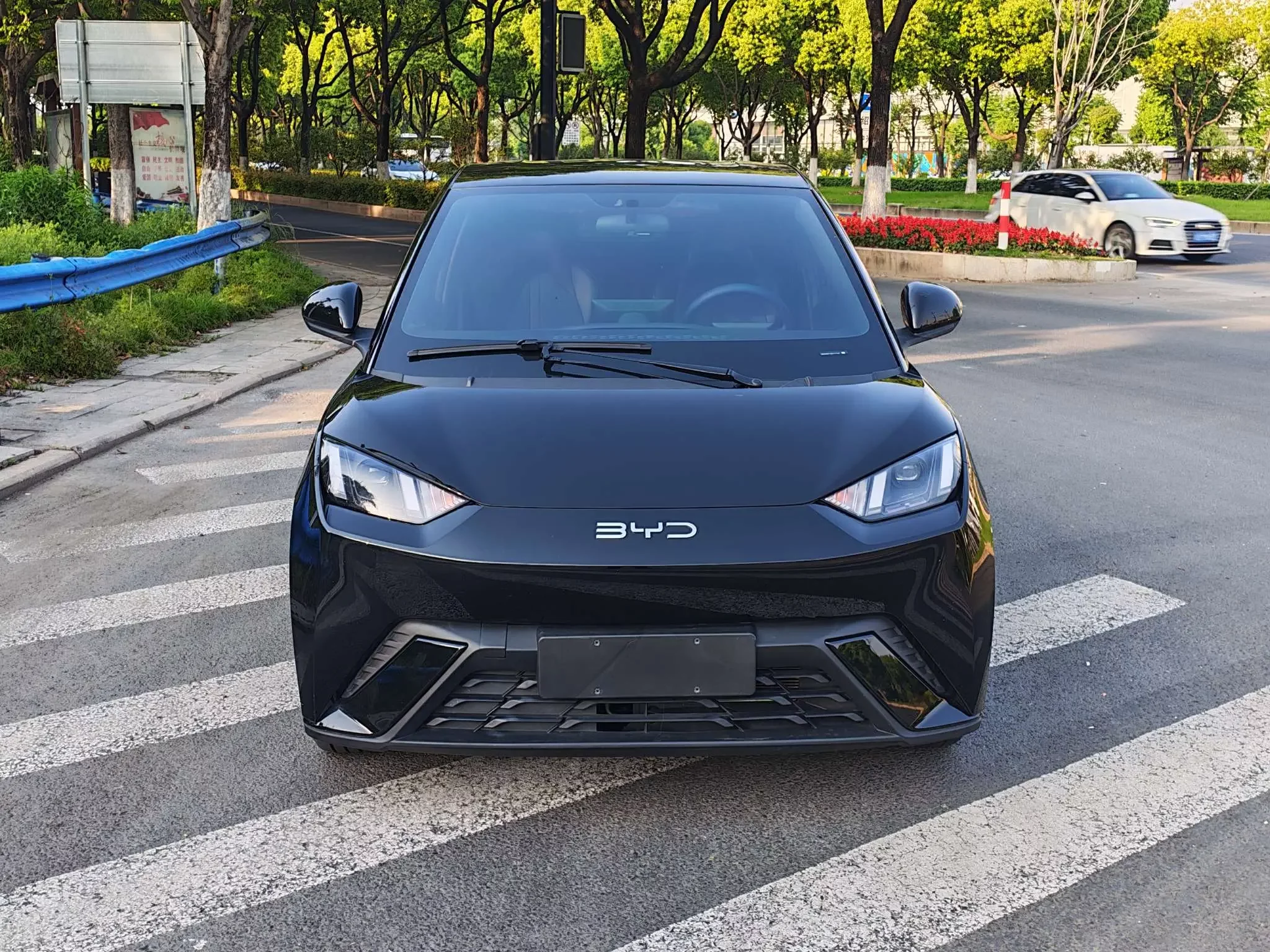 BYD seagull