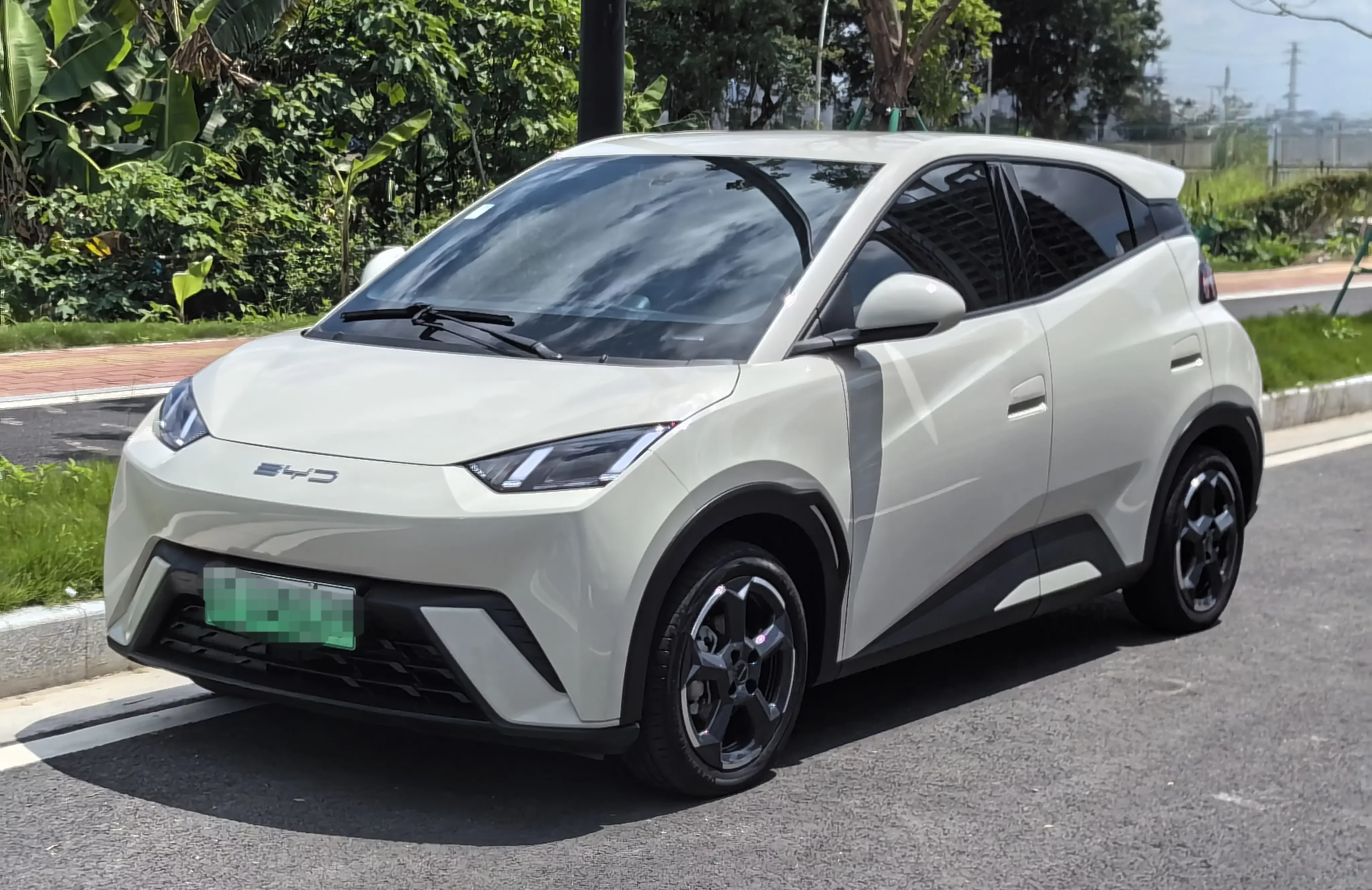 BYD seagull