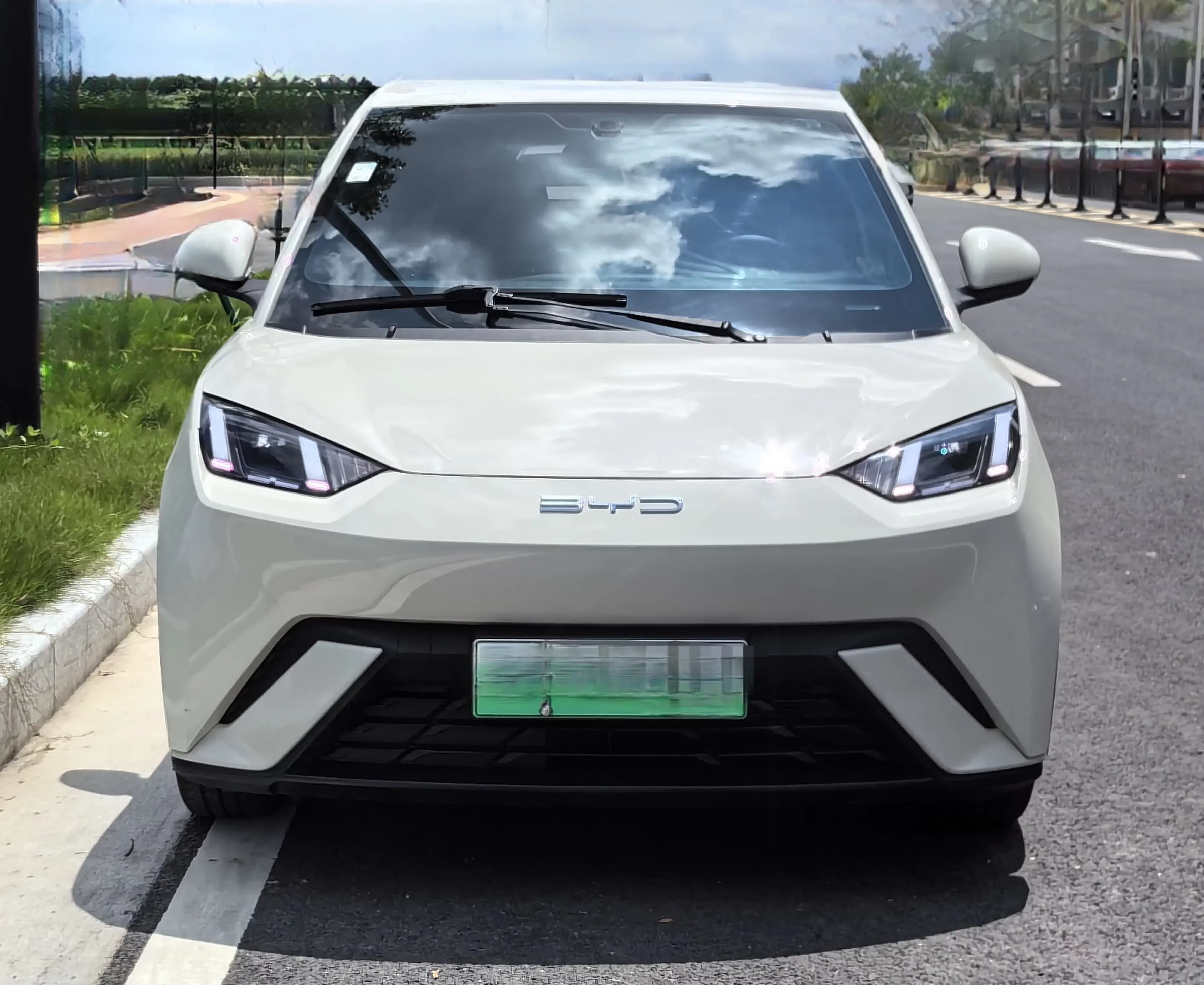 BYD seagull